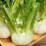 【实力货源】茴香球寿光蔬菜现摘现发西餐配料全国供应