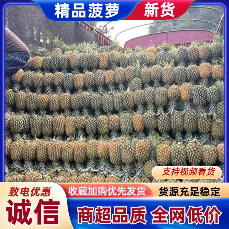 凤梨云南菠萝产地直发保质保量对接全国商超市场等