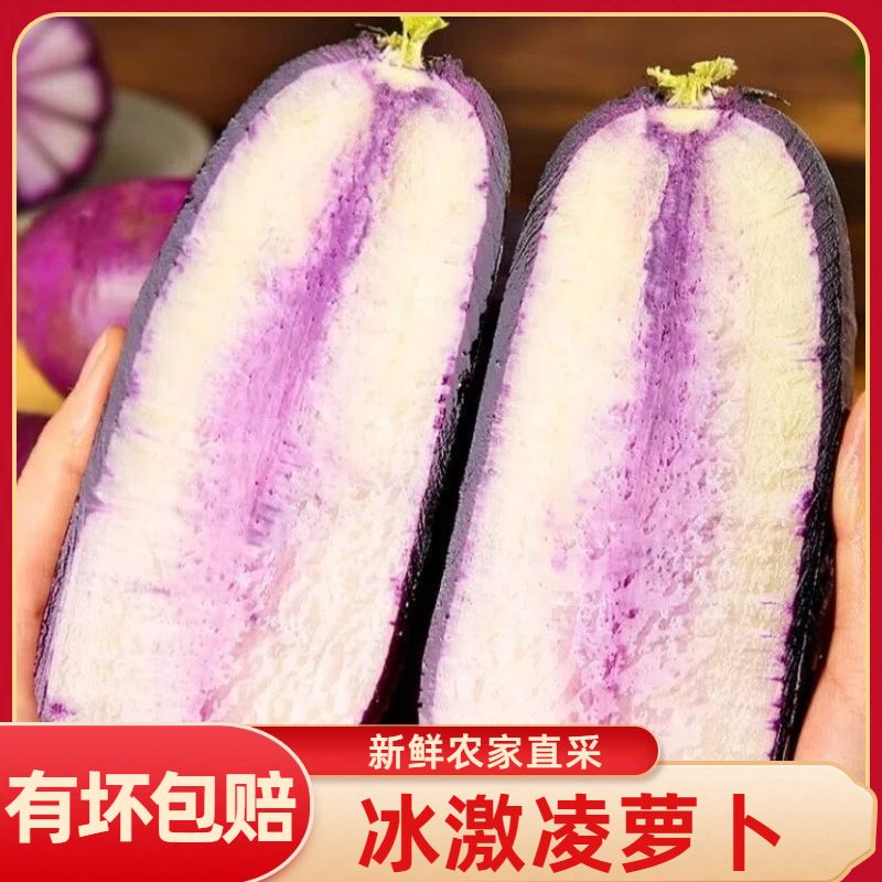 【寿光冰激凌萝卜】产地直发全国供应新鲜水果萝卜