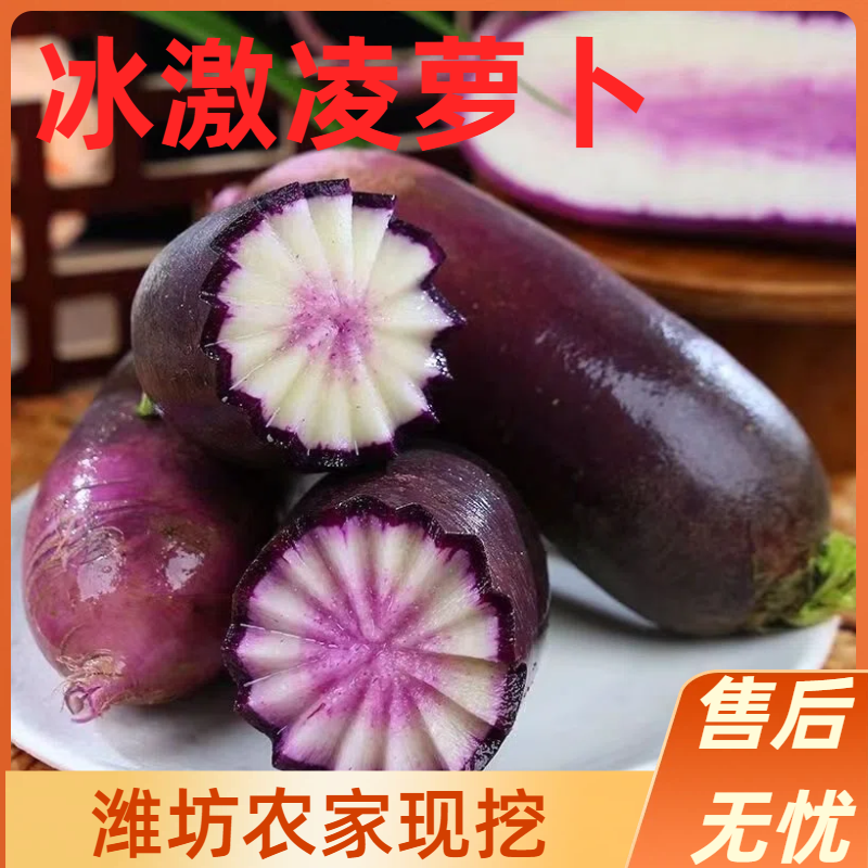【寿光冰激凌萝卜】产地直发全国供应新鲜水果萝卜