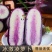 【精品冰激凌萝卜】新鲜水果萝卜农家现拔现发
