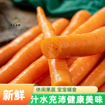 【实力货源】帝王萝卜水果萝卜开袋即食