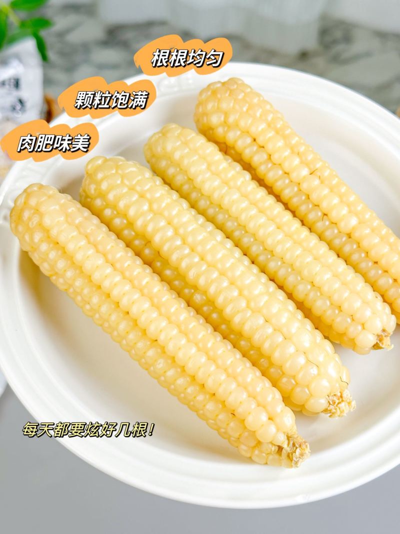 花糯玉米一件可发保质保量让您满意价格美丽欢迎采购对接