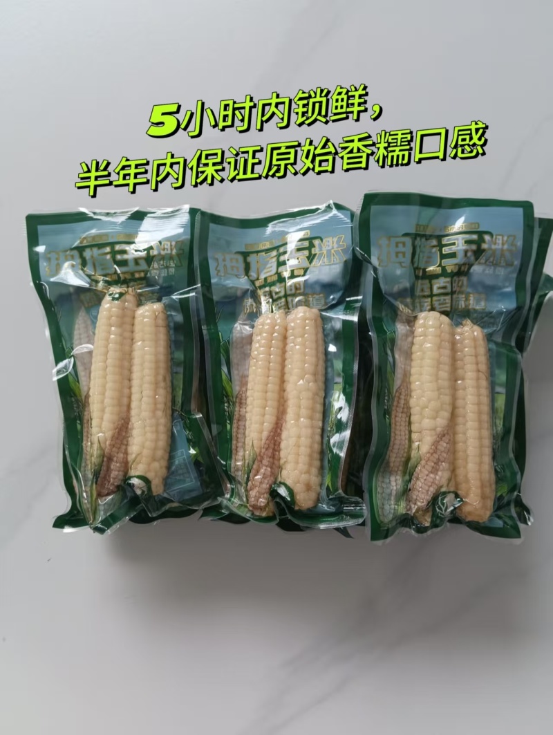 花糯玉米一件可发保质保量让您满意价格美丽欢迎采购对接