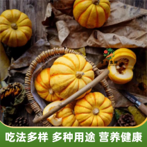 【实力货源】金桔南瓜寿光蔬菜全国供应精品蔬菜