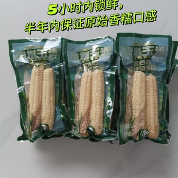 【厂家直发】白拇指玉米真空包装糯玉米独立包装开袋即食