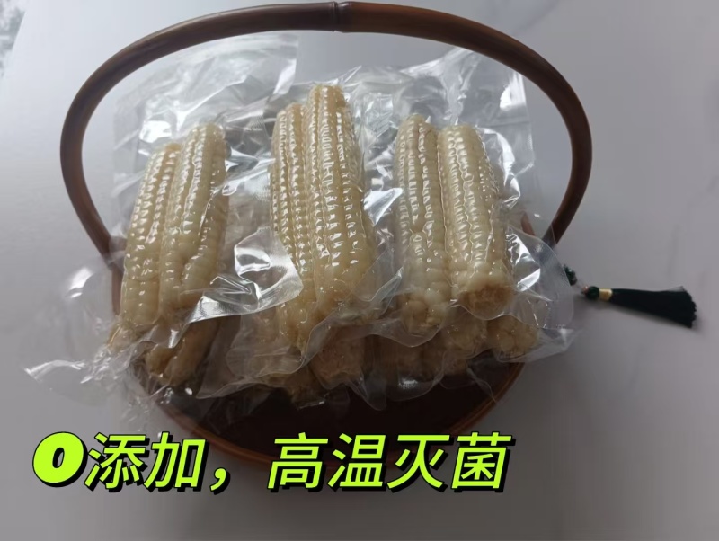 【厂家直发】白拇指玉米真空包装糯玉米独立包装开袋即食