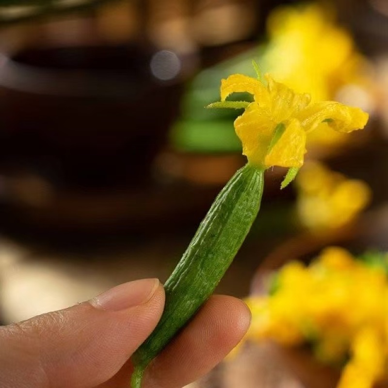 【精品黄瓜花】新鲜迷你小黄瓜脆甜沙拉菜