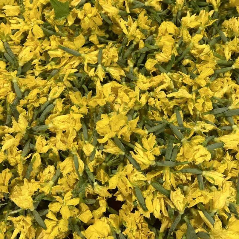 【精品黄瓜花】新鲜迷你小黄瓜脆甜沙拉菜