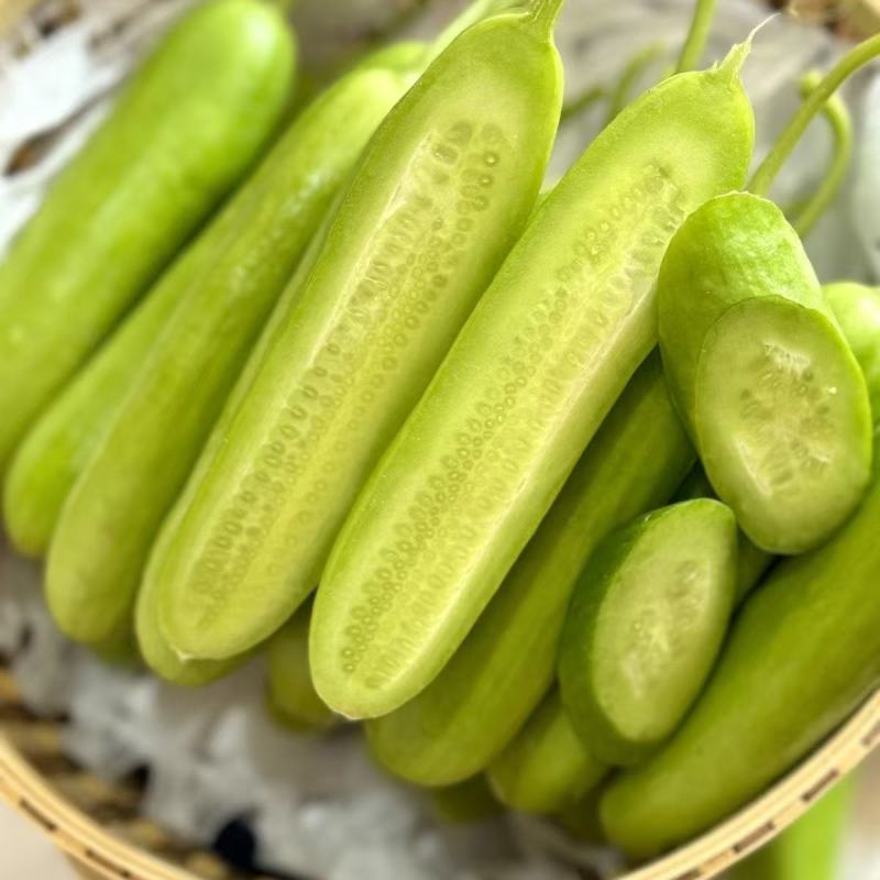 【精品奶油黄瓜】寿光特色正宗水果黄瓜无刺生吃
