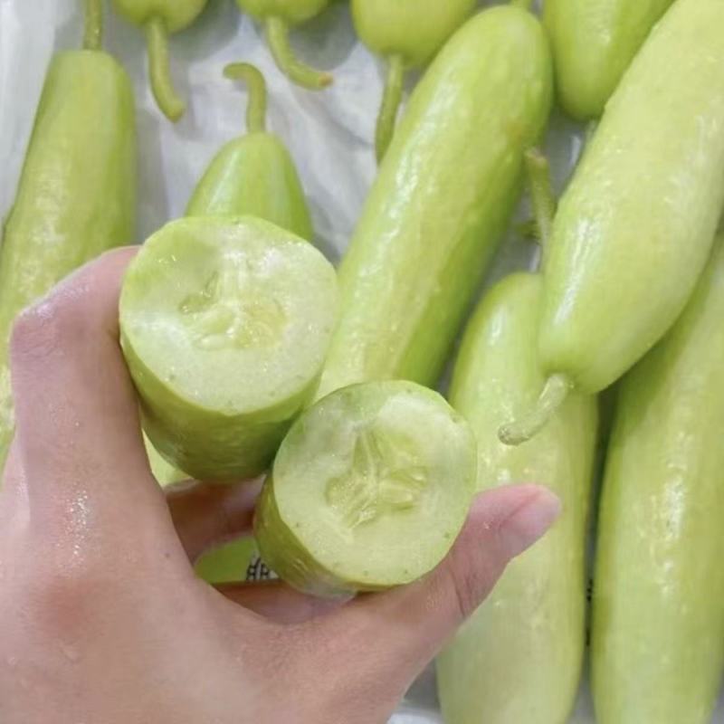 【精品奶油黄瓜】寿光特色正宗水果黄瓜无刺生吃