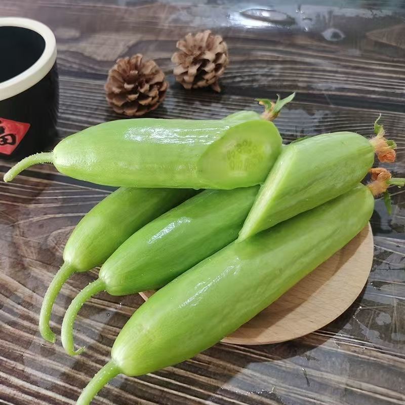 【实力货源】奶油黄瓜寿光蔬菜现摘无刺水果黄瓜