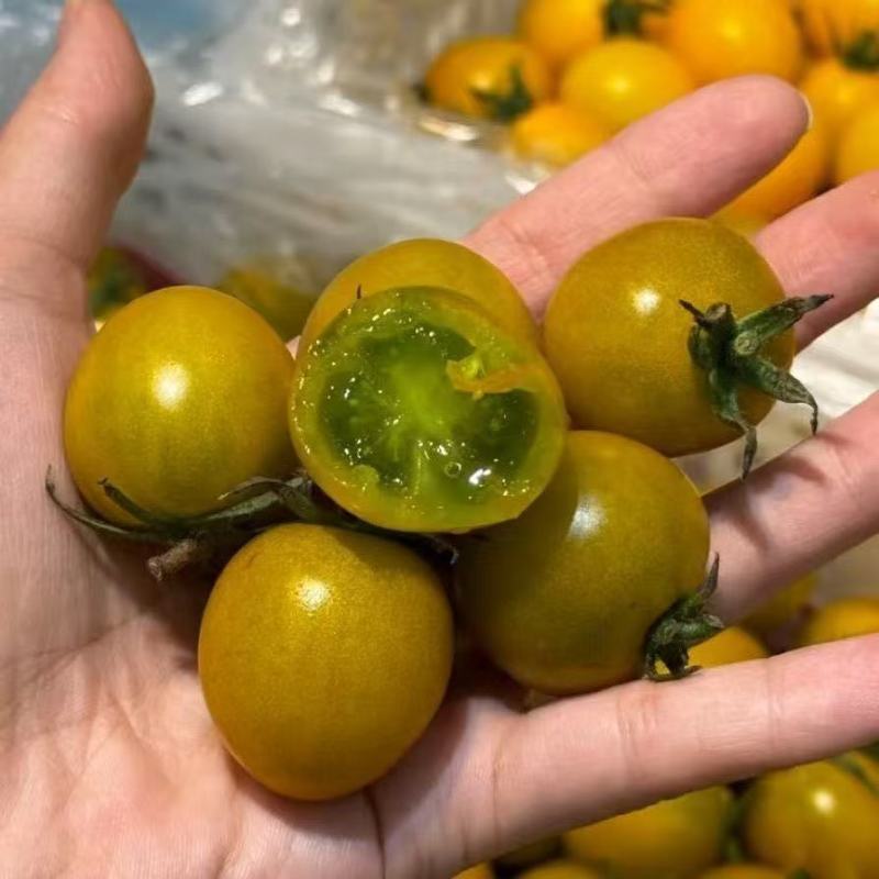 【精品糖珀琥】产地直发小番茄糖珀琥小柿子