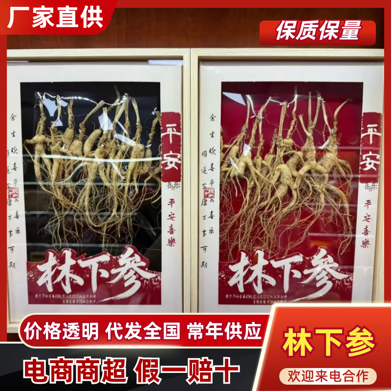 吉林长白山林下参一手货源货真价实视频看货价格实惠