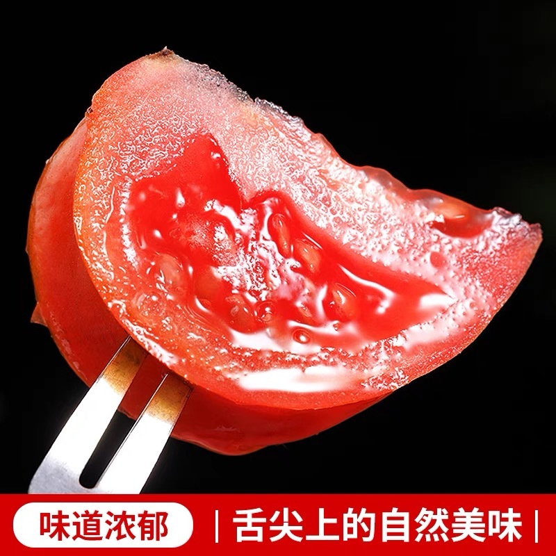 【寿光粉马蹄】农家种植产地直发丑番茄
