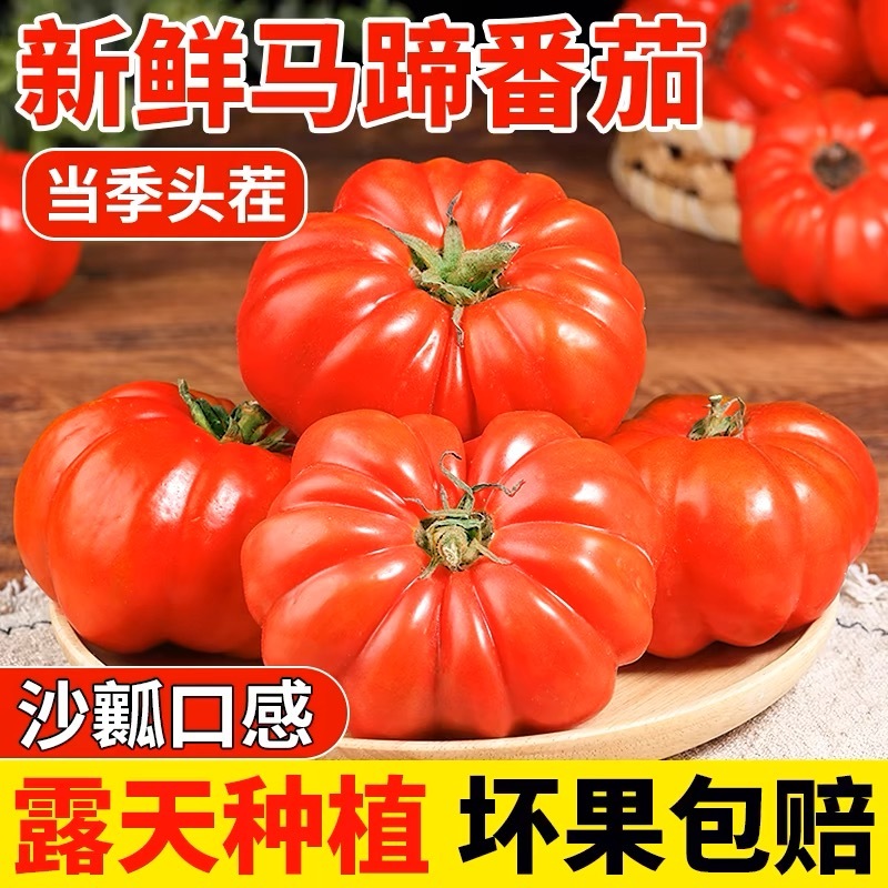 【寿光粉马蹄】农家种植产地直发丑番茄