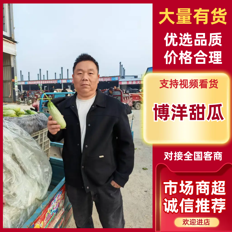 博洋系列甜瓜品种多样产地直供品质保证价格美丽
