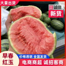 【精选】早春红玉安徽砀山西瓜一手货源酥脆可口