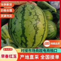 【热卖】早春红玉安徽西瓜砀山西瓜保质保量对接全国