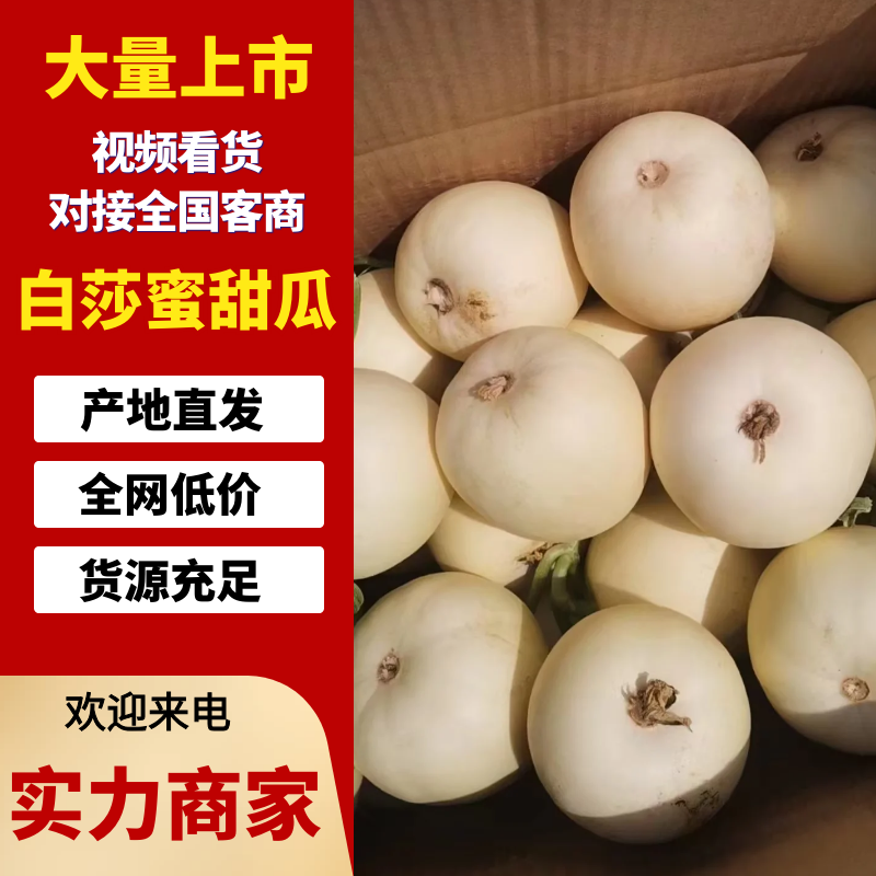 【精选】白莎蜜甜瓜安徽砀山小白瓜脆甜多汁量大优惠