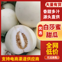 甜瓜，精品白莎蜜甜瓜，一手货源，皮薄甜脆，包熟包甜
