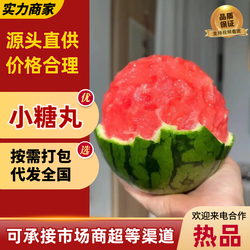 【精选】小糖丸西瓜安徽西瓜产地直发香甜多汁
