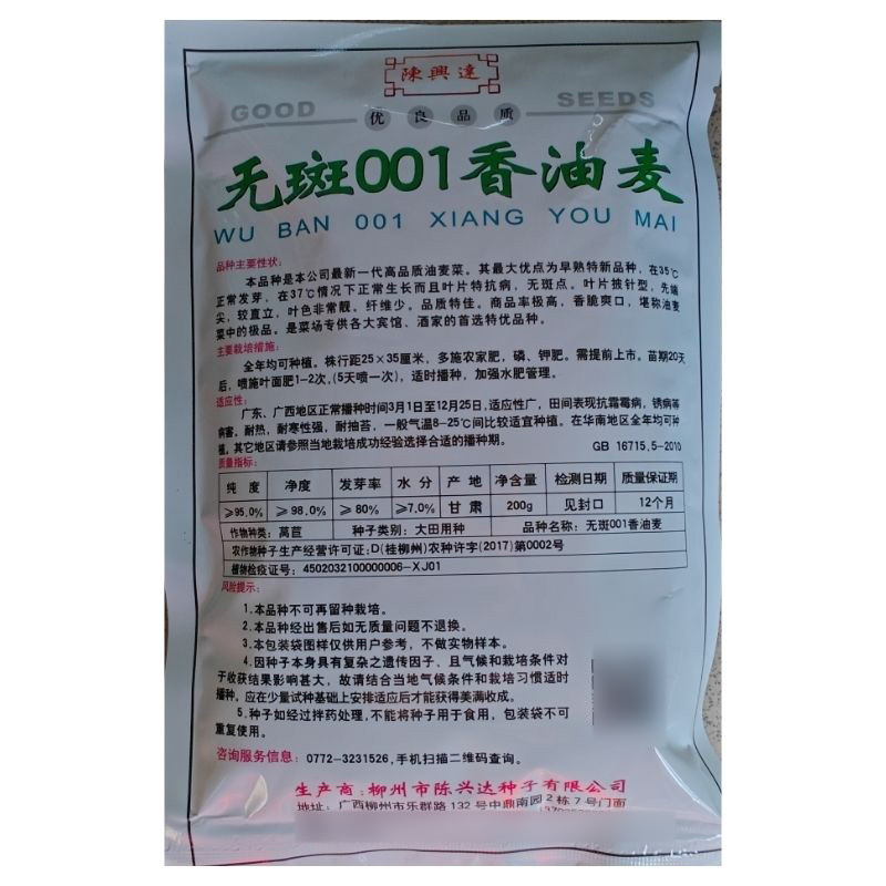 无斑001香油麦菜种子耐热耐寒油麦良种春夏秋冬季蔬菜种子