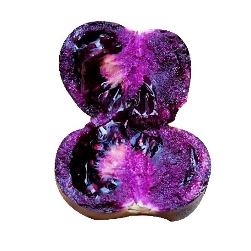 【寿光花青子】花青子小番茄产地直发新鲜采摘全国供应