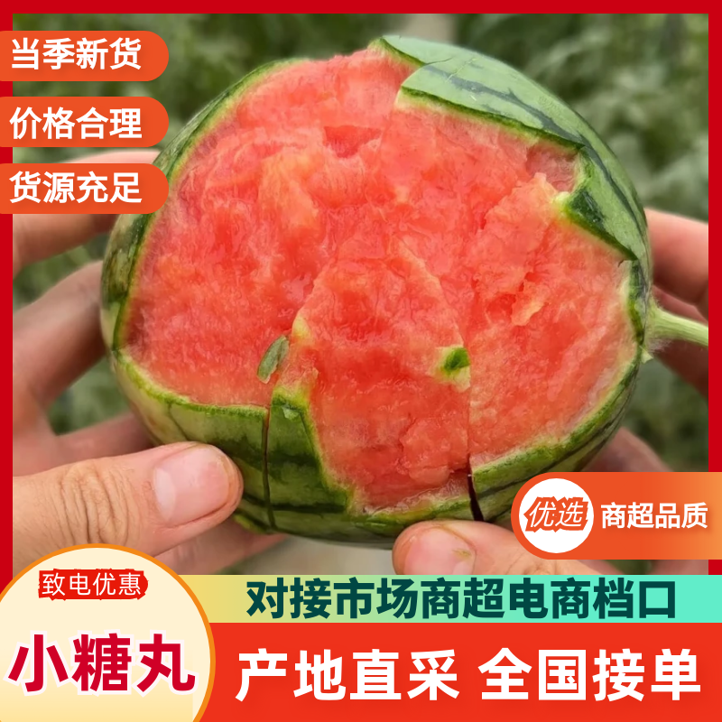 【推荐】小糖丸西瓜安徽砀山西瓜皮薄脆甜对接全国