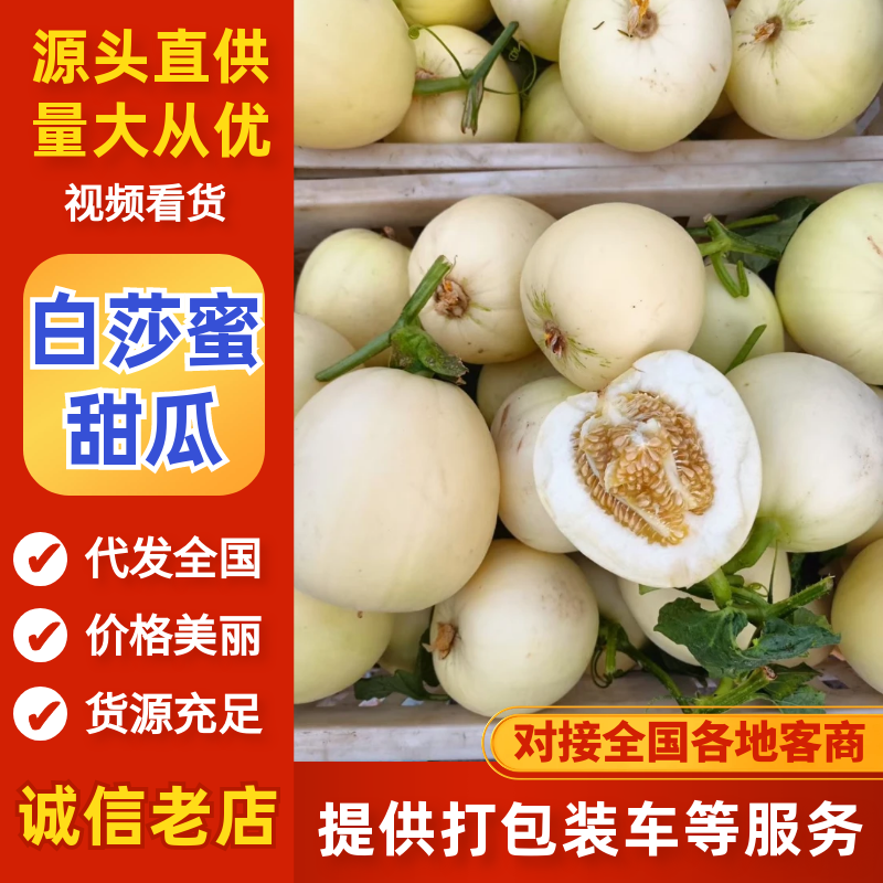 【精选】白莎蜜甜瓜砀山小白瓜产地直供皮薄脆甜