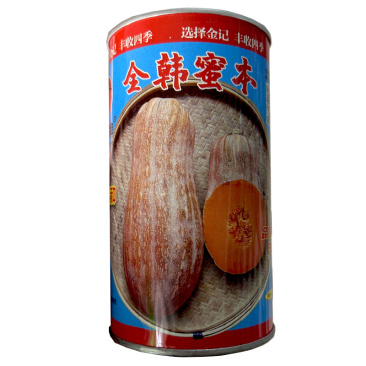 全韩蜜本南瓜种子早熟分枝多粉面品质高产春秋种植