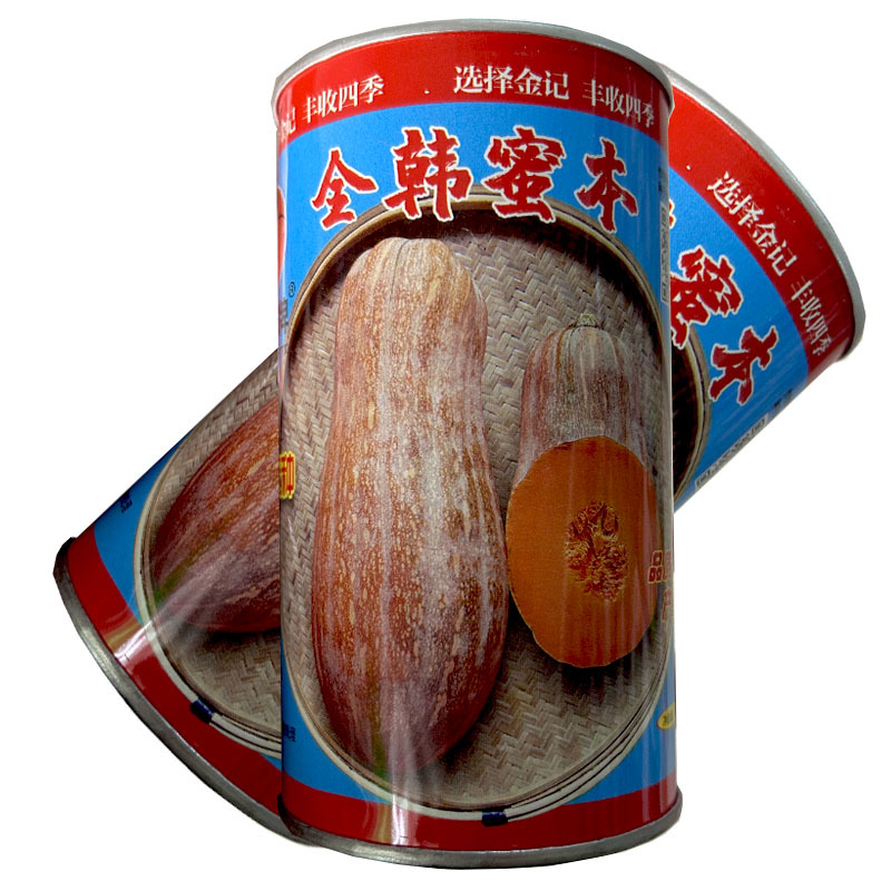 全韩蜜本南瓜种子早熟分枝多粉面品质高产春秋种植
