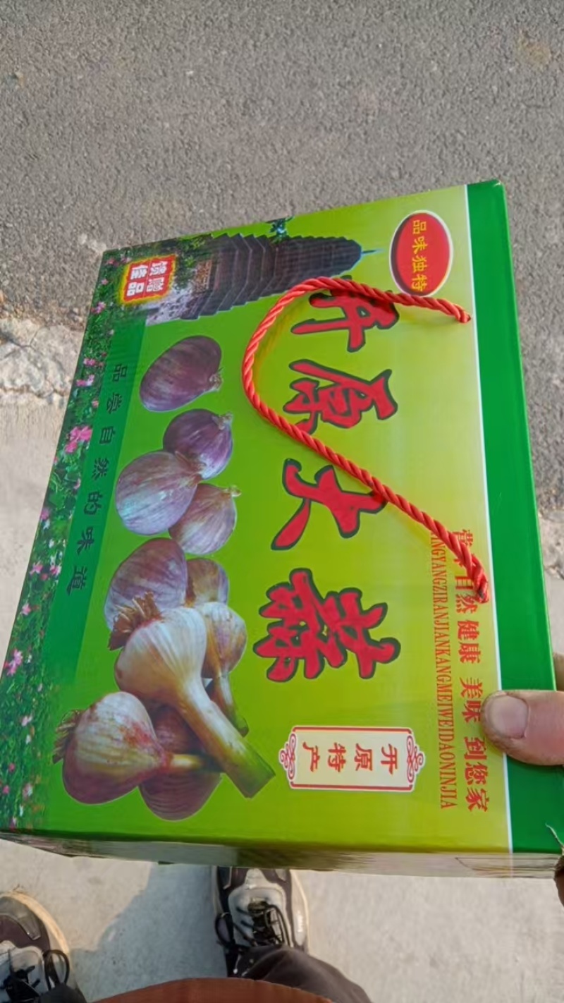 精品太空蒜辽宁基地直供质量保证一手货源对接商超市场