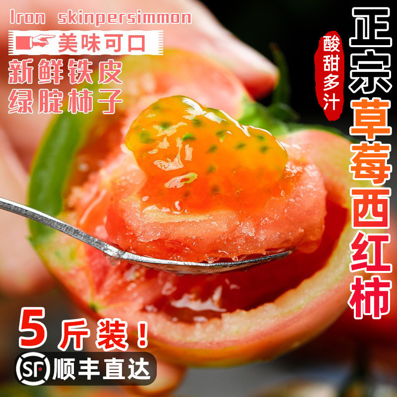 千亩福建铁皮草莓柿子漳州碱地即食新鲜自然熟绿腚番茄水果西