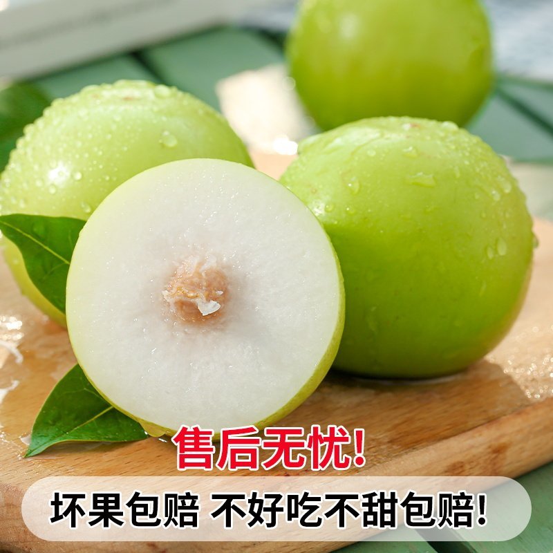 正宗云南西双版纳苹果枣新鲜现摘9斤青蜜牛奶枣脆甜当季水果
