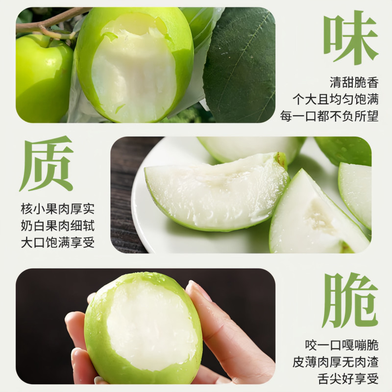 正宗云南西双版纳苹果枣新鲜现摘9斤青蜜牛奶枣脆甜当季水果