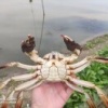 梁丙东的一亩田店铺