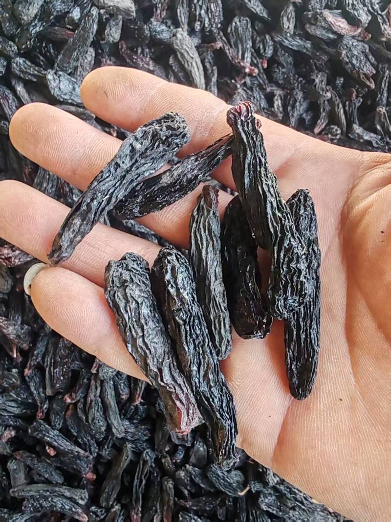 【热卖】蓝宝石葡萄干，大颗粒蓝宝石葡萄干无核葡萄干