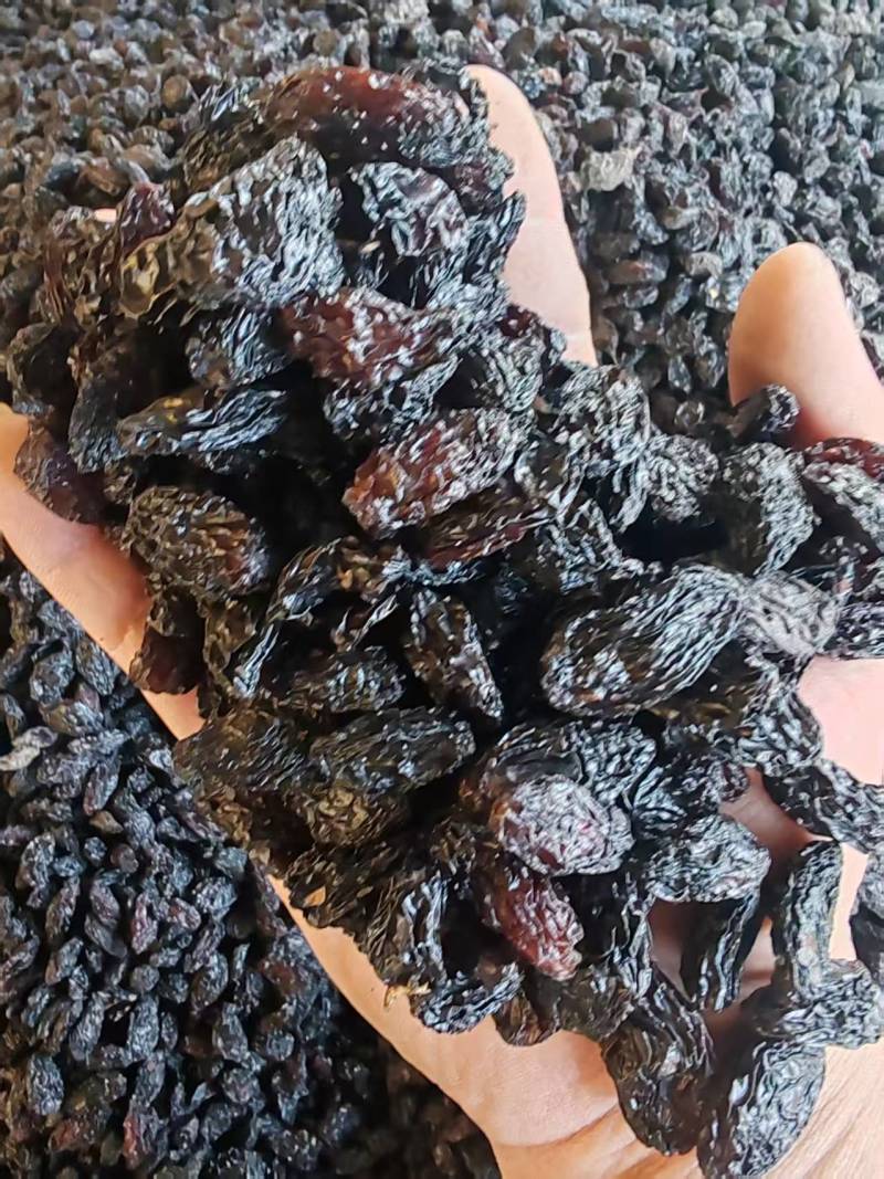 新疆特产吐鲁番葡萄干批发市场，一级黑美人葡萄干