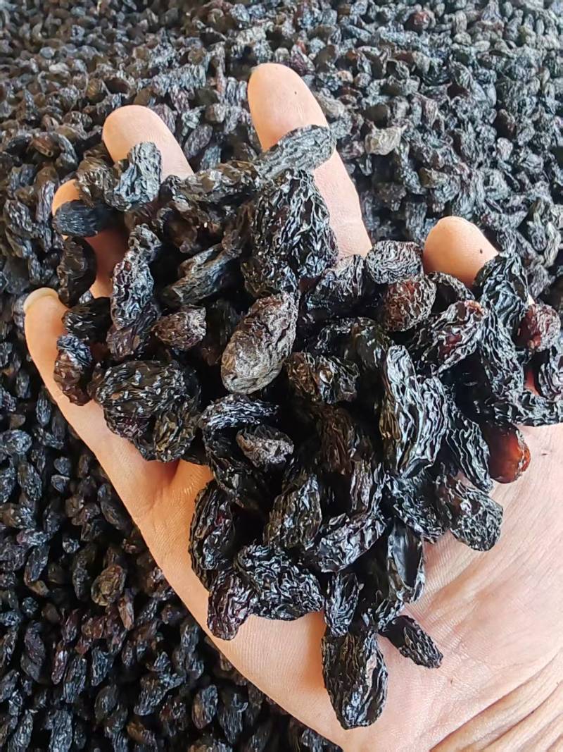 新疆特产吐鲁番葡萄干批发市场，一级黑美人葡萄干