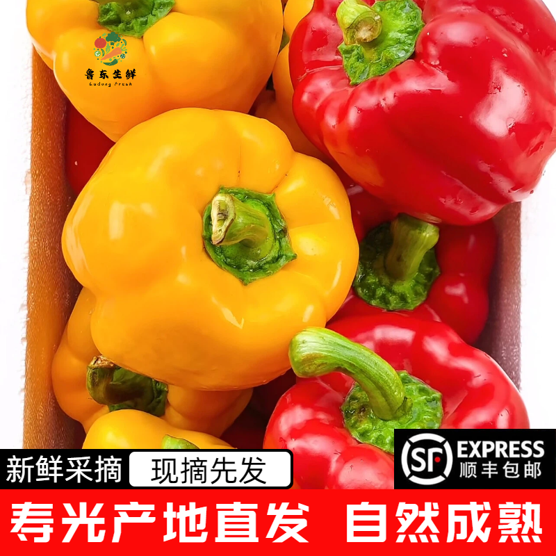 【寿光彩椒】红彩椒黄彩椒全国供应不限量产地直发