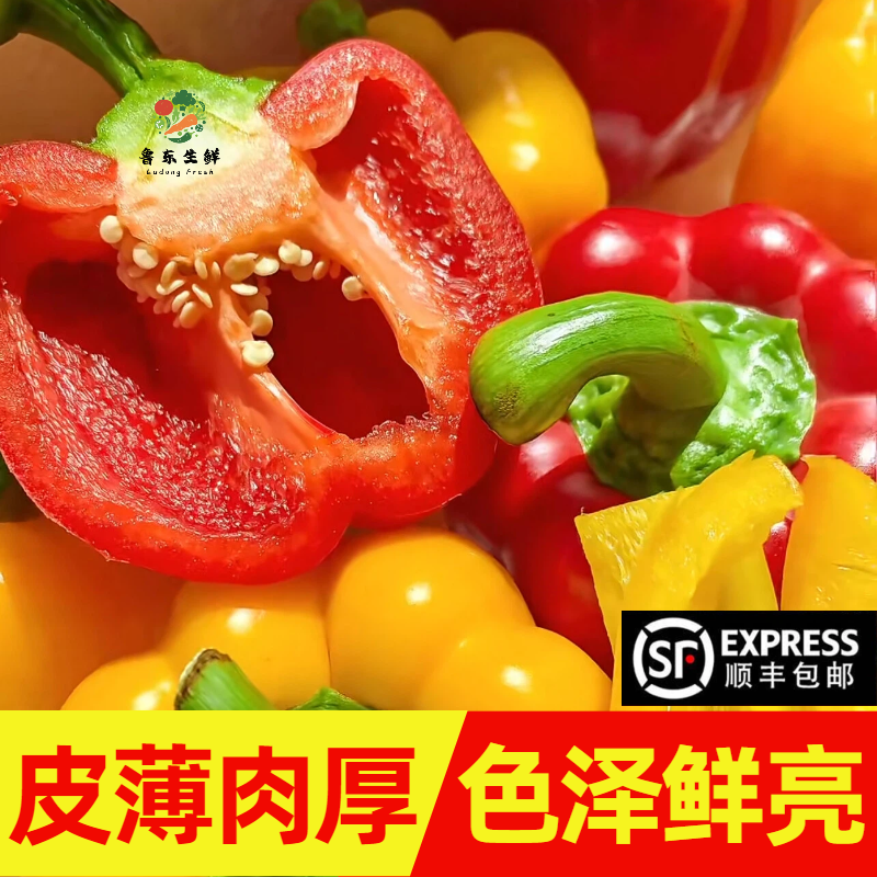 【精品彩椒】寿光彩椒产地直发全国供应不限量