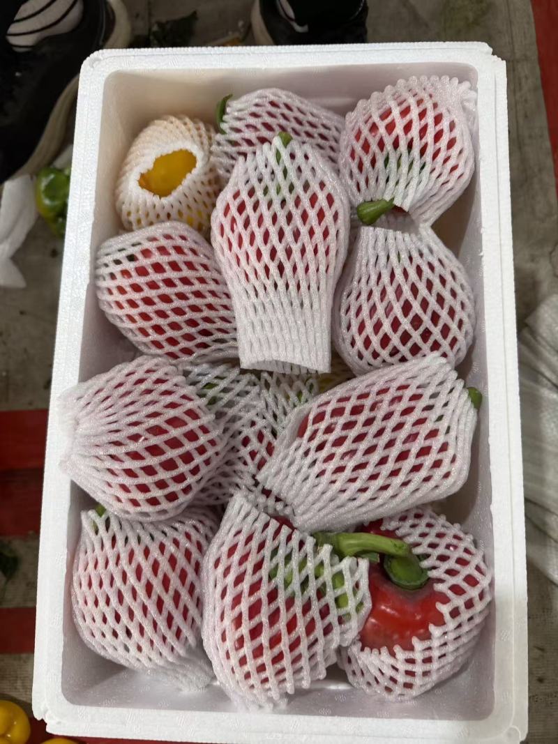 【精品彩椒】寿光彩椒产地直发全国供应不限量