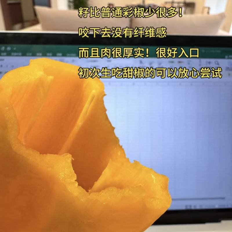 【精品巴莱姆】寿光巴莱姆甜椒全国供应品质不限量