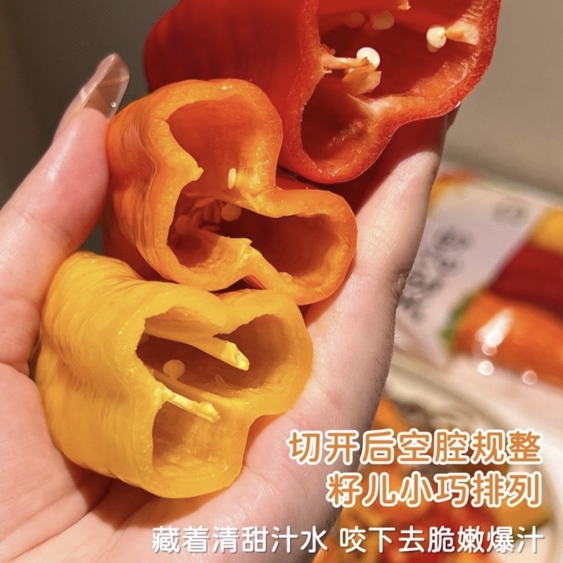 【实力货源】巴莱姆甜椒品质甜味全国供应不限量