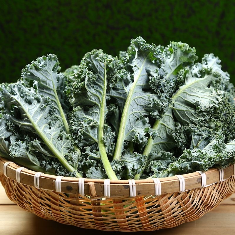【实力货源】羽衣甘蓝嫩叶新鲜蔬菜品质保障