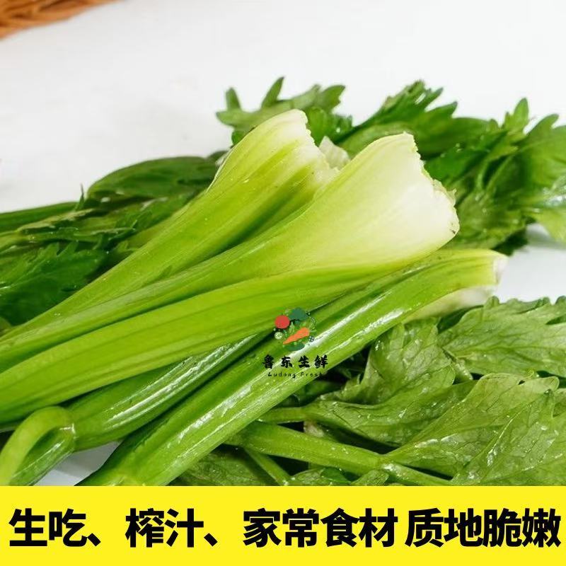 【寿光清芹】产地新鲜采摘现摘现发稳定全国供应
