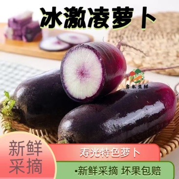 【精品冰激凌萝卜】新鲜供应产地寿光现摘现发全国供应