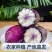 【精品冰激凌萝卜】新鲜供应产地寿光现摘现发全国供应