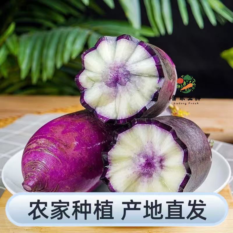 【精品冰激凌萝卜】新鲜供应产地寿光现摘现发全国供应